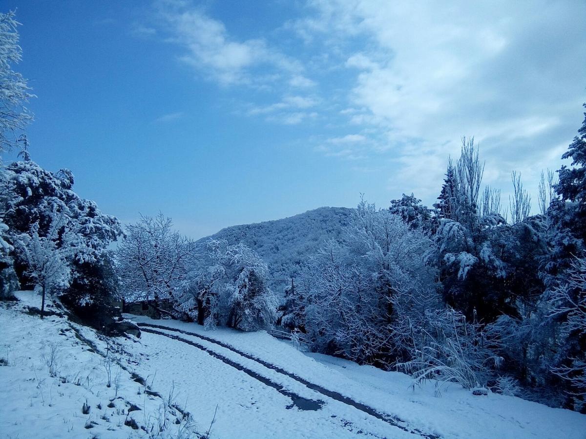 Mas Pardas Санта-Пау Экстерьер фото